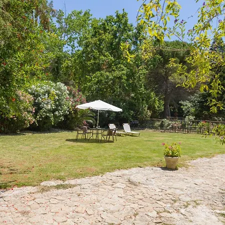 Jianni's - Stone In The Greenery!! *